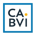 Logo for Cincinnati Association for the Blind and Visually Impaired (CABVI)